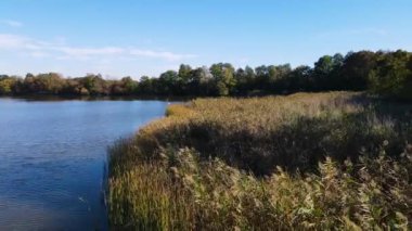 Balıkçılık göl manzaralı Nowe Grodzisko Peyzaj Parkı Polonya