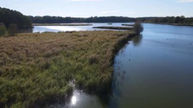 Balıkçılık göl manzaralı Nowe Grodzisko Peyzaj Parkı Polonya