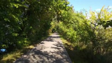 Ağaçlar arasında insansız hava aracı uçuşu