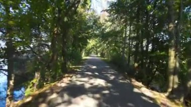 Ağaçlar arasında insansız hava aracı uçuşu