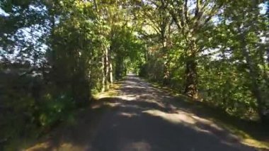 Ağaçlar arasında insansız hava aracı uçuşu