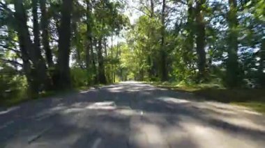 Ağaçlar arasında insansız hava aracı uçuşu