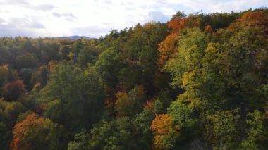 Orman dağları sonbahar insansız hava aracı manzarası
