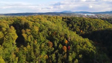 Orman dağları sonbahar insansız hava aracı manzarası