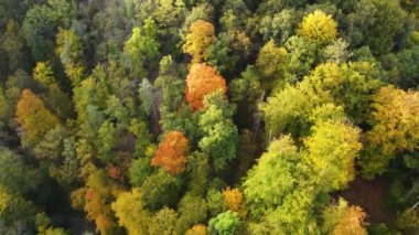 Orman dağları sonbahar insansız hava aracı manzarası