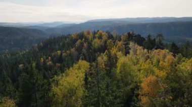 Sonbahar ormanı hava manzaralı insansız hava aracı Adrspach Çek Cumhuriyeti
