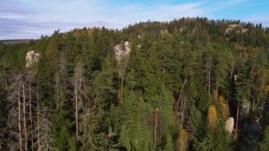 Sonbahar ormanı hava manzaralı insansız hava aracı Adrspach Çek Cumhuriyeti