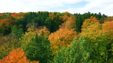 Blue Ridge Dağları, Gürcistan Dağları Chattahoochee-Oconee Ulusal Ormanı 'nda renk değiştiren ağaç ormanlarının insansız hava aracı..