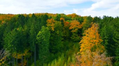 Blue Ridge Dağları, Gürcistan Dağları Chattahoochee-Oconee Ulusal Ormanı 'nda renk değiştiren ağaç ormanlarının insansız hava aracı..
