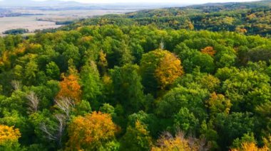 Blue Ridge Dağları, Gürcistan Dağları Chattahoochee-Oconee Ulusal Ormanı 'nda renk değiştiren ağaç ormanlarının insansız hava aracı..