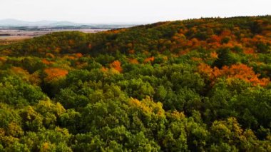 Blue Ridge Dağları, Gürcistan Dağları Chattahoochee-Oconee Ulusal Ormanı 'nda renk değiştiren ağaç ormanlarının insansız hava aracı..