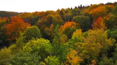 Blue Ridge Dağları, Gürcistan Dağları Chattahoochee-Oconee Ulusal Ormanı 'nda renk değiştiren ağaç ormanlarının insansız hava aracı..