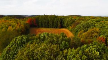 Blue Ridge Dağları, Gürcistan Dağları Chattahoochee-Oconee Ulusal Ormanı 'nda renk değiştiren ağaç ormanlarının insansız hava aracı..
