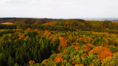 Blue Ridge Dağları, Gürcistan Dağları Chattahoochee-Oconee Ulusal Ormanı 'nda renk değiştiren ağaç ormanlarının insansız hava aracı..