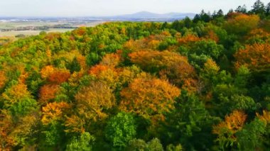 Blue Ridge Dağları, Gürcistan Dağları Chattahoochee-Oconee Ulusal Ormanı 'nda renk değiştiren ağaç ormanlarının insansız hava aracı..