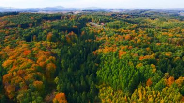 Blue Ridge Dağları, Gürcistan Dağları Chattahoochee-Oconee Ulusal Ormanı 'nda renk değiştiren ağaç ormanlarının insansız hava aracı..