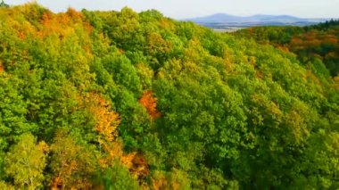 Blue Ridge Dağları, Gürcistan Dağları Chattahoochee-Oconee Ulusal Ormanı 'nda renk değiştiren ağaç ormanlarının insansız hava aracı..