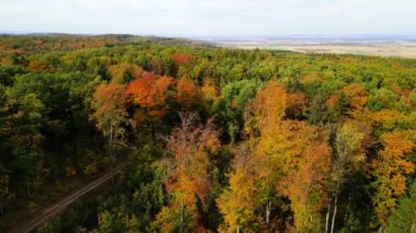 Blue Ridge Dağları, Gürcistan Dağları Chattahoochee-Oconee Ulusal Ormanı 'nda renk değiştiren ağaç ormanlarının insansız hava aracı..