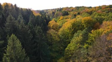 Blue Ridge Dağları, Gürcistan Dağları Chattahoochee-Oconee Ulusal Ormanı 'nda renk değiştiren ağaç ormanlarının insansız hava aracı..