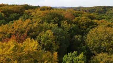 Blue Ridge Dağları, Gürcistan Dağları Chattahoochee-Oconee Ulusal Ormanı 'nda renk değiştiren ağaç ormanlarının insansız hava aracı..