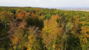 Blue Ridge Dağları, Gürcistan Dağları Chattahoochee-Oconee Ulusal Ormanı 'nda renk değiştiren ağaç ormanlarının insansız hava aracı..