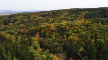 Blue Ridge Dağları, Gürcistan Dağları Chattahoochee-Oconee Ulusal Ormanı 'nda renk değiştiren ağaç ormanlarının insansız hava aracı..