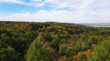 Blue Ridge Dağları, Gürcistan Dağları Chattahoochee-Oconee Ulusal Ormanı 'nda renk değiştiren ağaç ormanlarının insansız hava aracı..