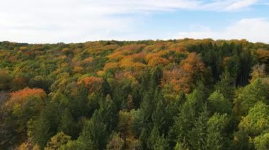 Blue Ridge Dağları, Gürcistan Dağları Chattahoochee-Oconee Ulusal Ormanı 'nda renk değiştiren ağaç ormanlarının insansız hava aracı..