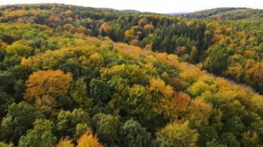 Blue Ridge Dağları, Gürcistan Dağları Chattahoochee-Oconee Ulusal Ormanı 'nda renk değiştiren ağaç ormanlarının insansız hava aracı..