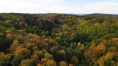 Blue Ridge Dağları, Gürcistan Dağları Chattahoochee-Oconee Ulusal Ormanı 'nda renk değiştiren ağaç ormanlarının insansız hava aracı..