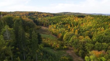 Blue Ridge Dağları, Gürcistan Dağları Chattahoochee-Oconee Ulusal Ormanı 'nda renk değiştiren ağaç ormanlarının insansız hava aracı..