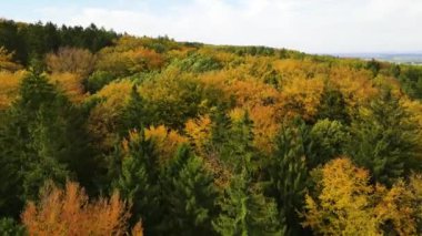 Blue Ridge Dağları, Gürcistan Dağları Chattahoochee-Oconee Ulusal Ormanı 'nda renk değiştiren ağaç ormanlarının insansız hava aracı..