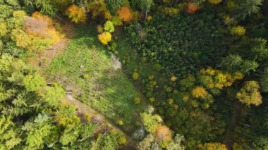 Blue Ridge Dağları, Gürcistan Dağları Chattahoochee-Oconee Ulusal Ormanı 'nda renk değiştiren ağaç ormanlarının insansız hava aracı..