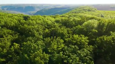 Parana Nehri, Teju Cuare Parkı, Arjantin 'deki yeşil tepelerin insansız hava aracı görüntüleri.