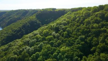 Parana Nehri, Teju Cuare Parkı, Arjantin 'deki yeşil tepelerin insansız hava aracı görüntüleri.