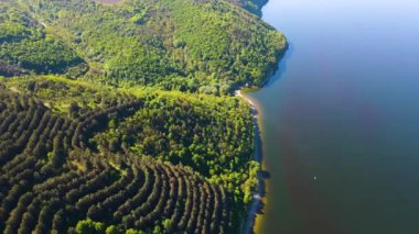 Parana Nehri, Teju Cuare Parkı, Arjantin 'deki yeşil tepelerin insansız hava aracı görüntüleri.