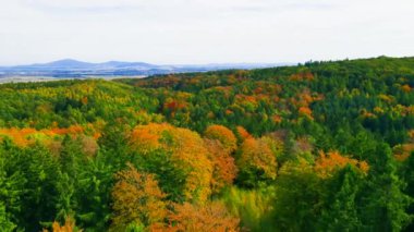 Sonbahar orman insansız hava aracı dağ tepesinde uçuyor.