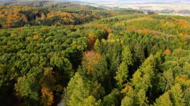 Sonbahar orman insansız hava aracı dağ tepesinde uçuyor.