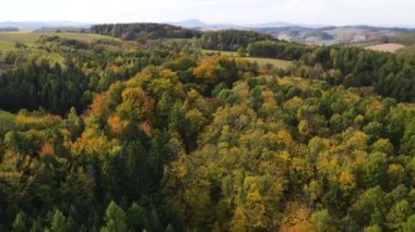 Sonbahar orman insansız hava aracı dağ tepesinde uçuyor.