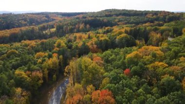 Sonbahar orman insansız hava aracı dağ tepesinde uçuyor.