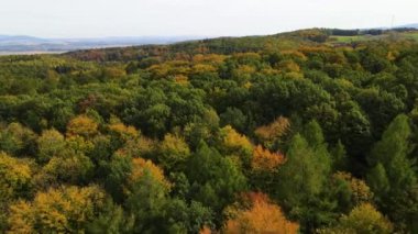 Sonbahar orman insansız hava aracı dağ tepesinde uçuyor.