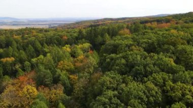 Sonbahar orman insansız hava aracı dağ tepesinde uçuyor.