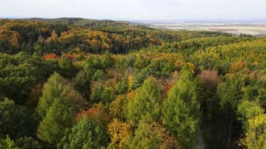 Sonbahar orman insansız hava aracı dağ tepesinde uçuyor.