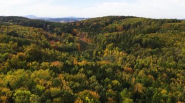 Sonbahar orman insansız hava aracı dağ tepesinde uçuyor.