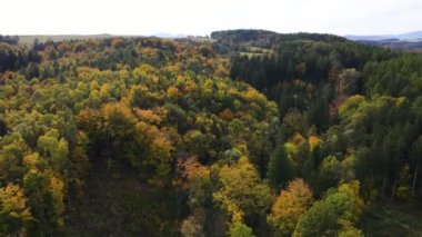 Sonbahar orman insansız hava aracı dağ tepesinde uçuyor.