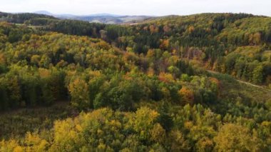 Sonbahar orman insansız hava aracı dağ tepesinde uçuyor.