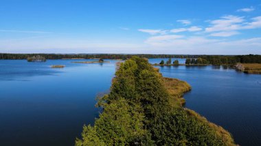 Gölün üzerinden su manzaralı ağaçlar