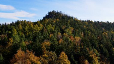 Tepedeki ormandan sonbahar manzarası