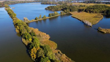 Gölün üzerinden su manzaralı ağaçlar