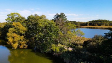 Gölün üzerinden su manzaralı ağaçlar
